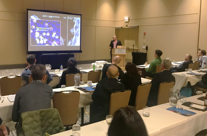 SfN 2019 2